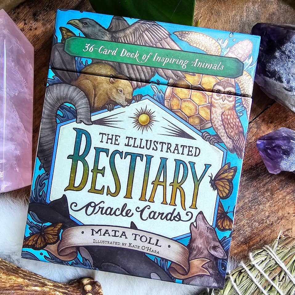 The Illustrated Bestiary Oracle Card Deck | by Maia Toll | Raven & Moon