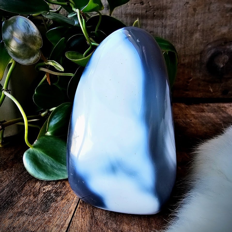 Blue hot Orca Agate Flame